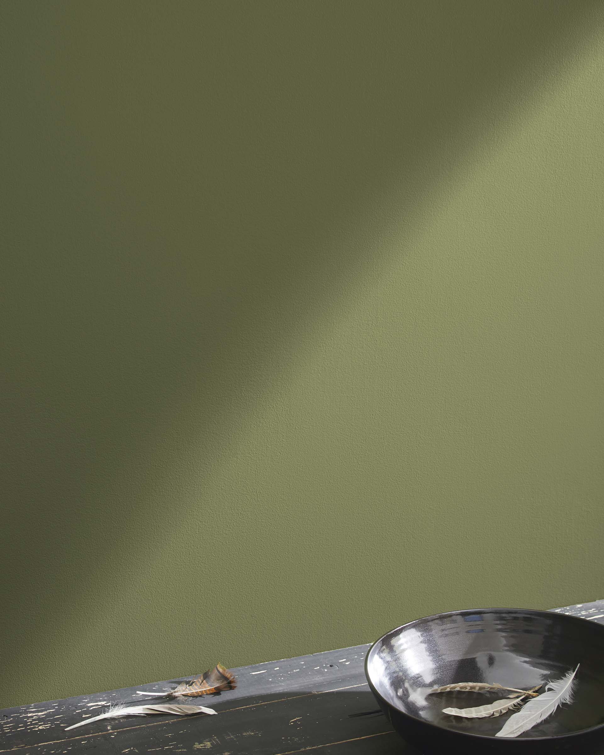 Eve Green 2024 20 Benjamin Moore Hong Kong eve-green-2024-20-benjamin-moore-hong-kong