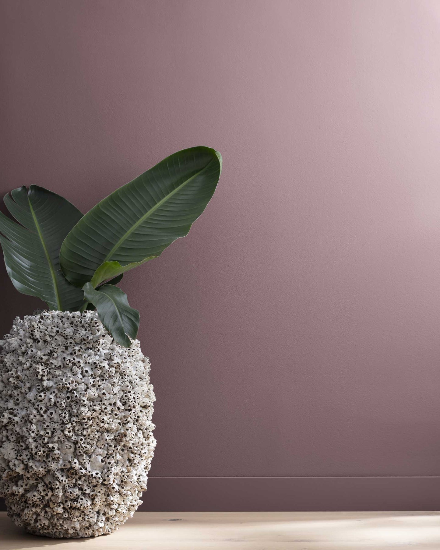 Pinch of Spice (1449)