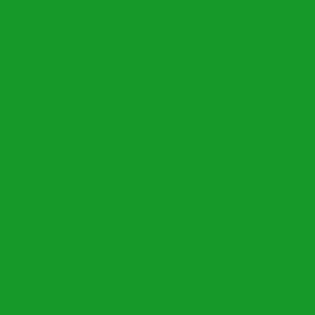 Neon Green (2032-10)