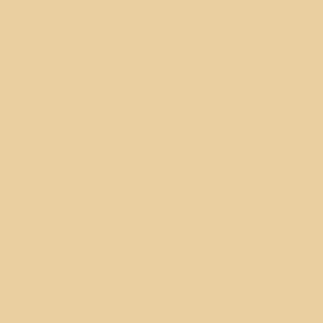 French Toast (CC-244)