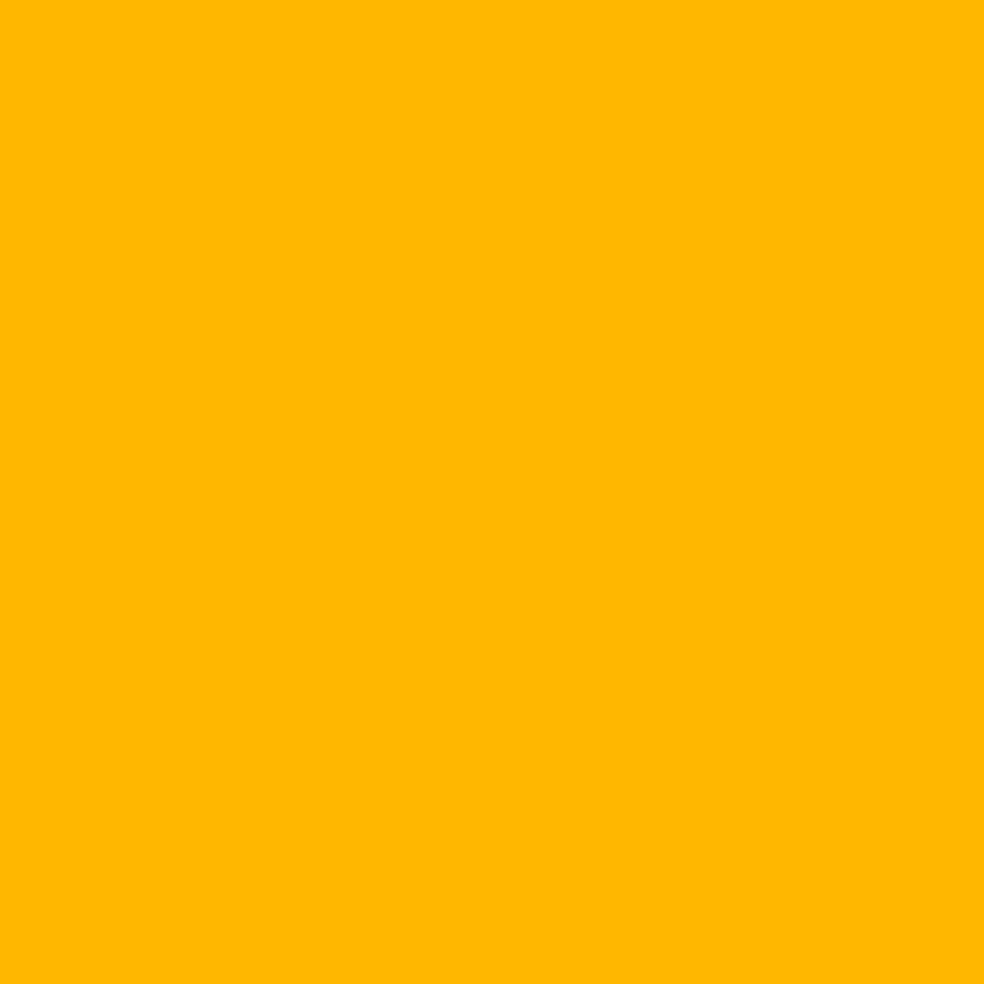 Golden Nugget (2019-20)