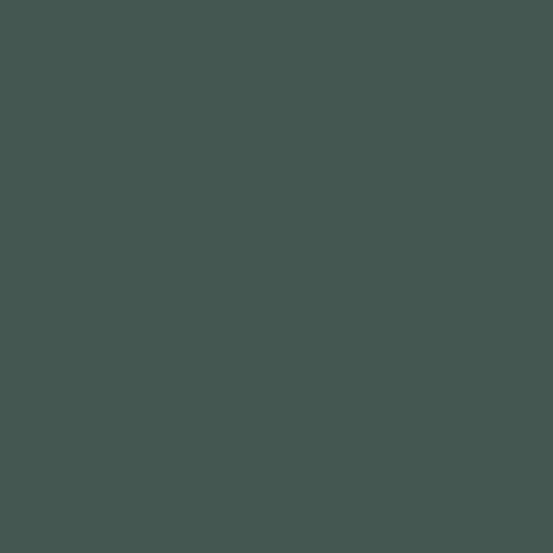 Crisp Romaine (686)