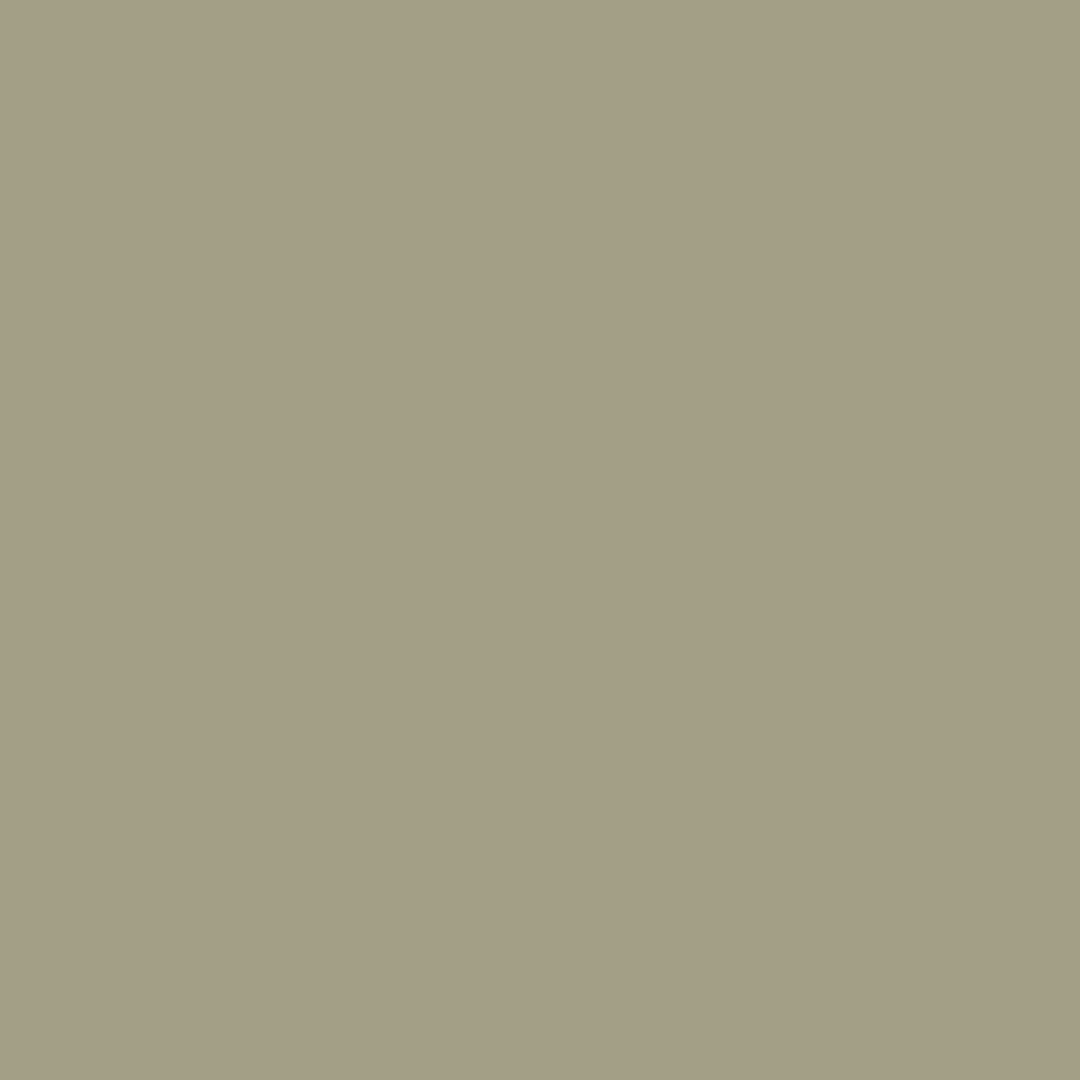 Texas Sage (1503)