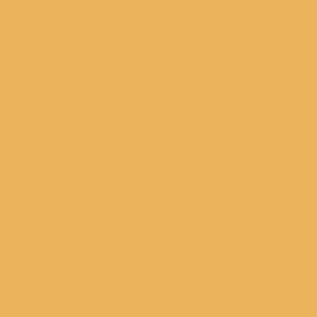 Pan for Gold (181)