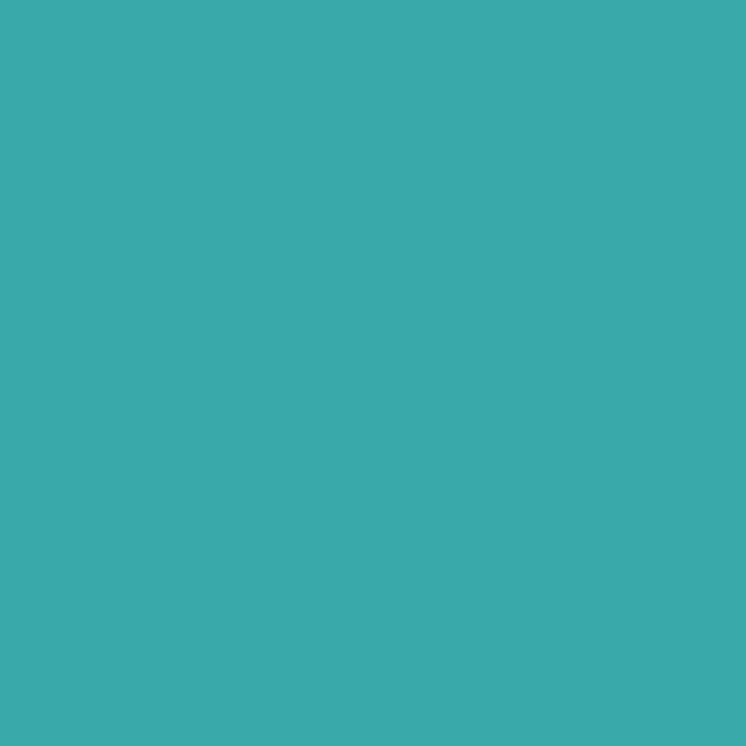Palm Coast Teal (733)