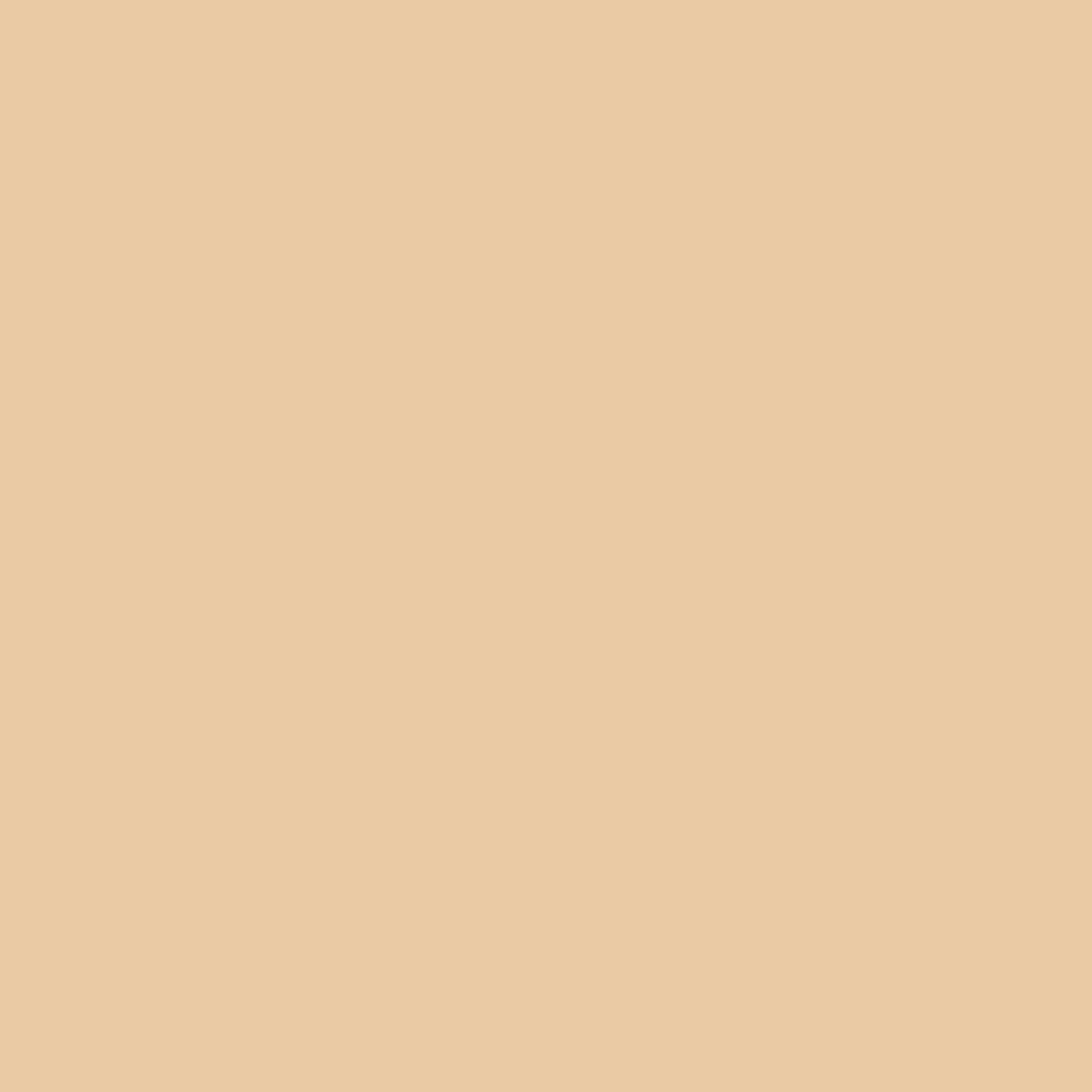 Face Powder (CSP-1085)
