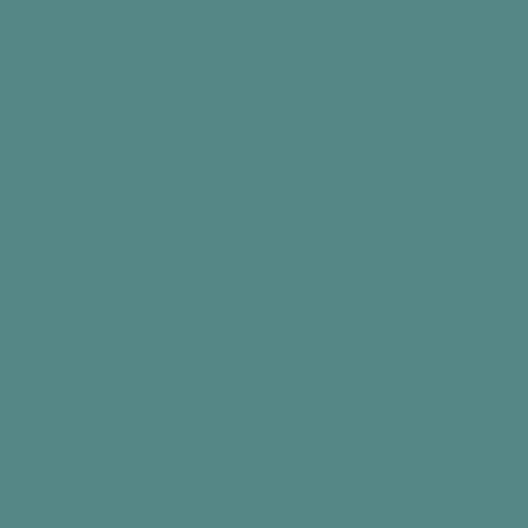 Mayo Teal (CW-570)