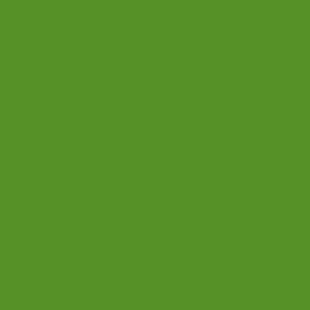 Basil Green (2029-10)