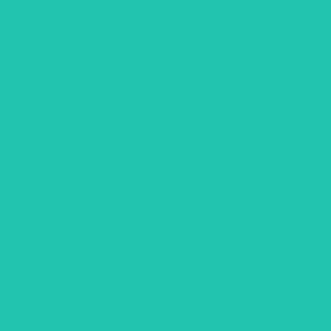 Green Sponge (2046-40)