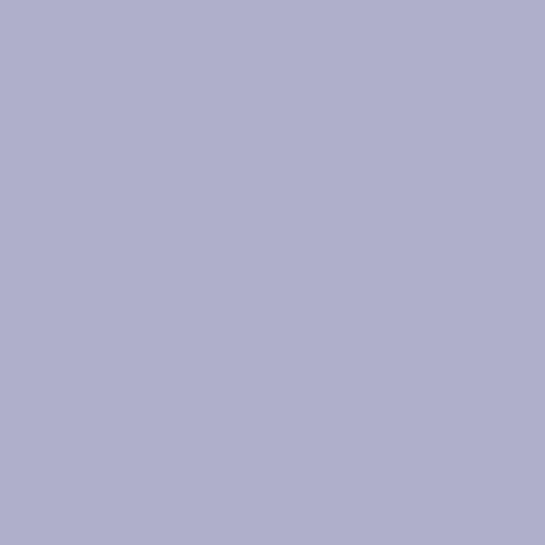 Enchanted (2070-50)