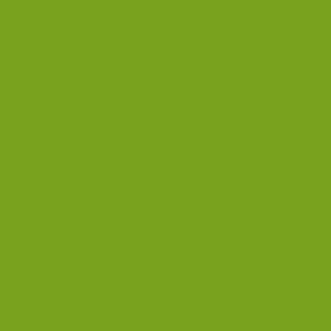Iguana Green (2028-10)