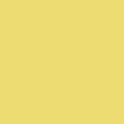 Yellow Finch (2024-40)