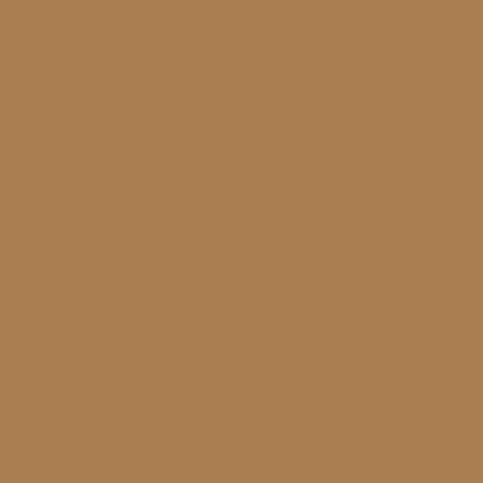 深堅果棕色 (2098-30)