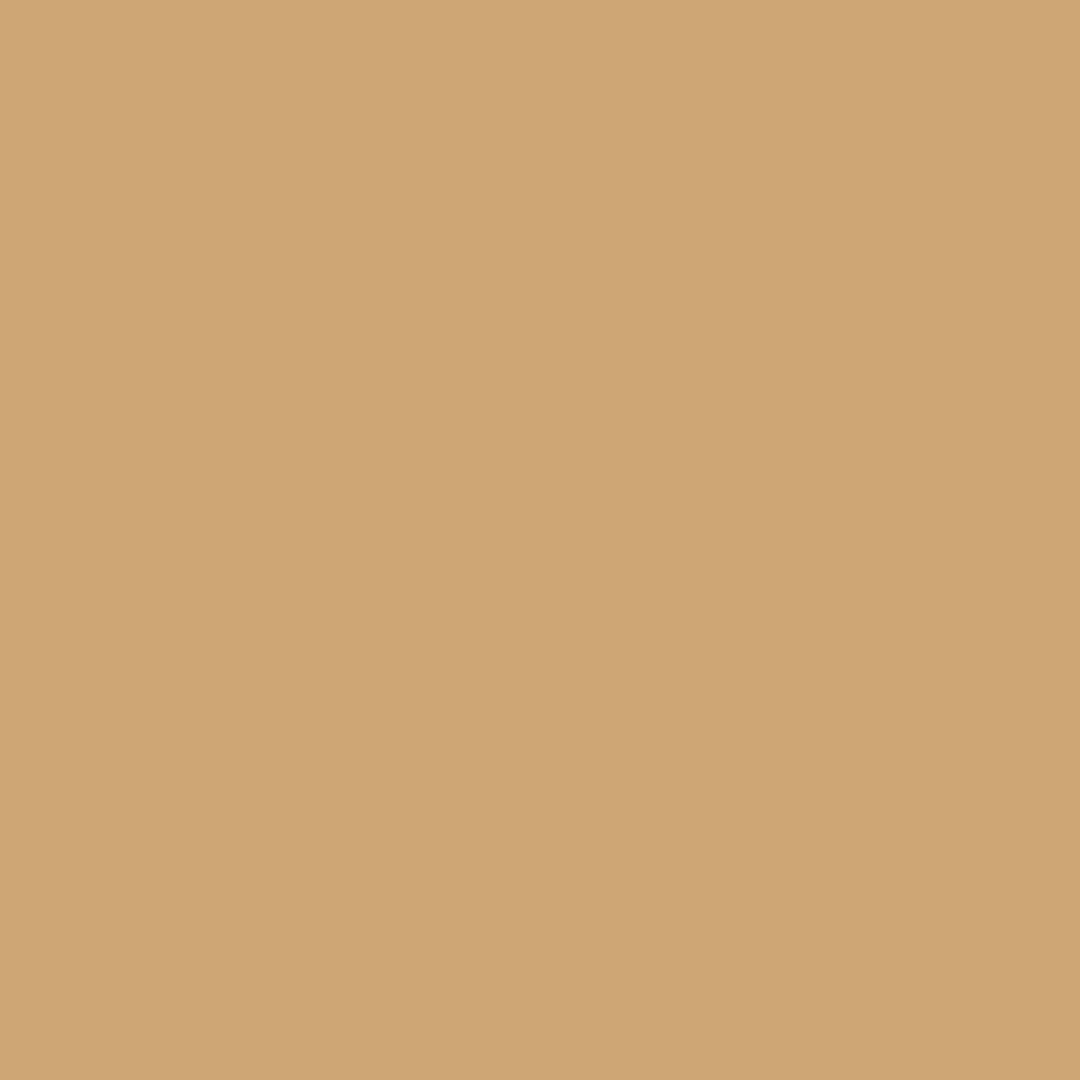 Camel Back (1103)