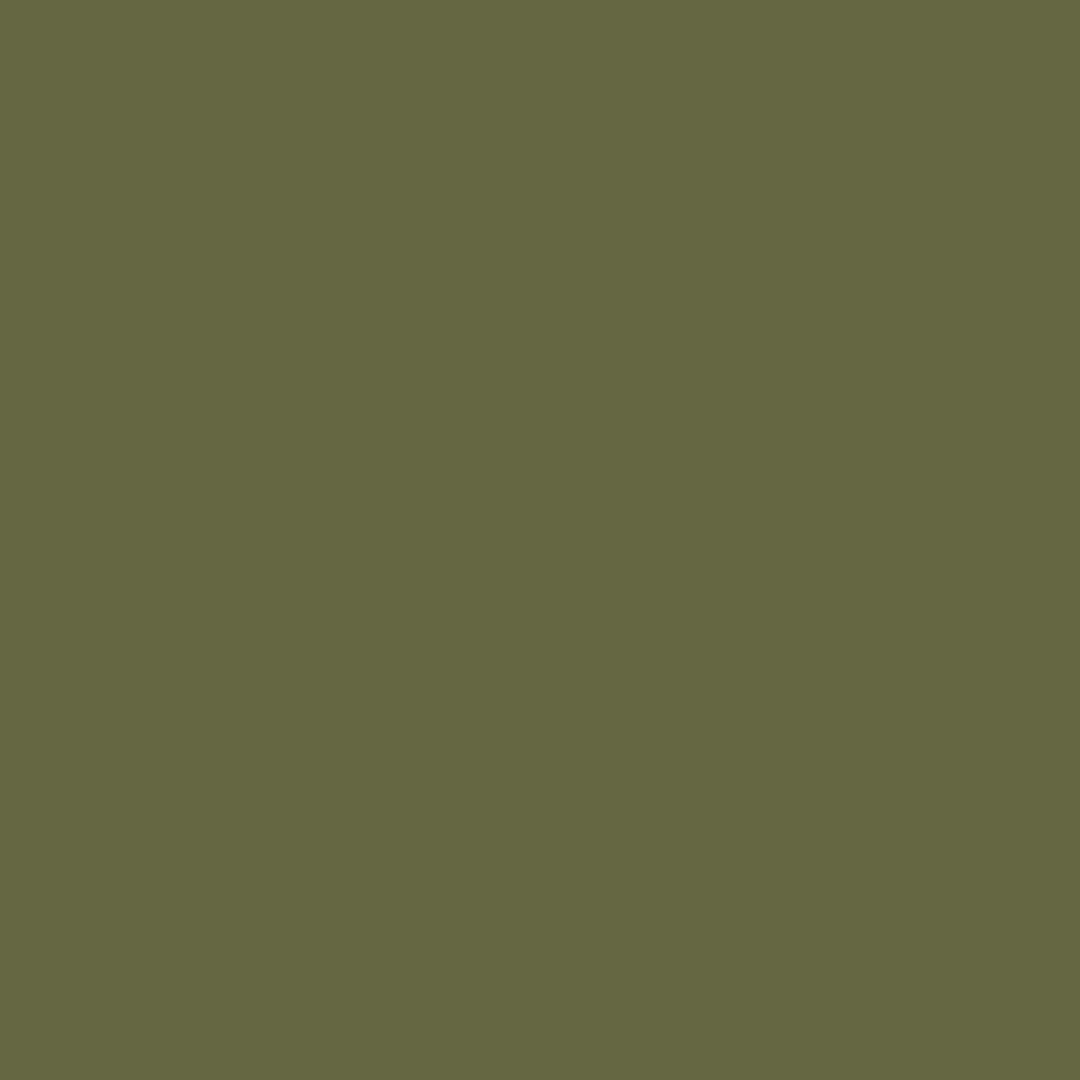 Guacamole (2144-10)