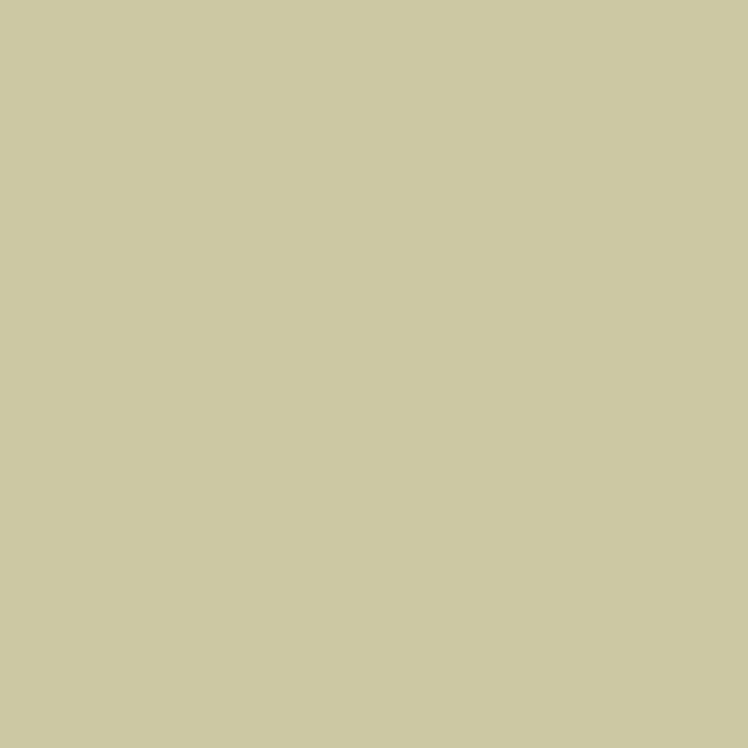 Dried Parsley (522)