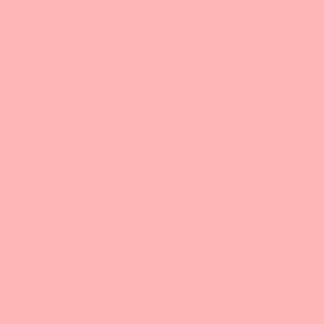 時尚粉色2009-50